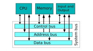 Computer system bus