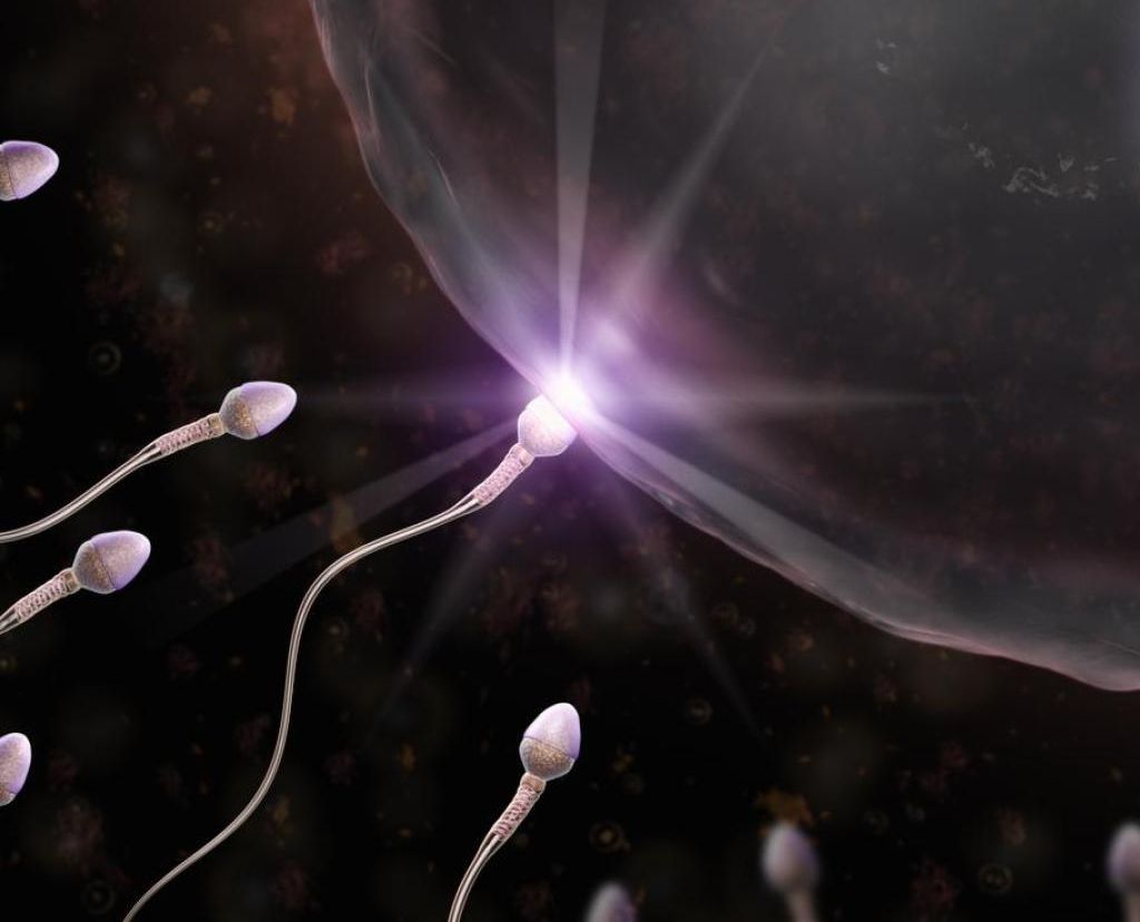 Hormonelle Verhütungsmittel
