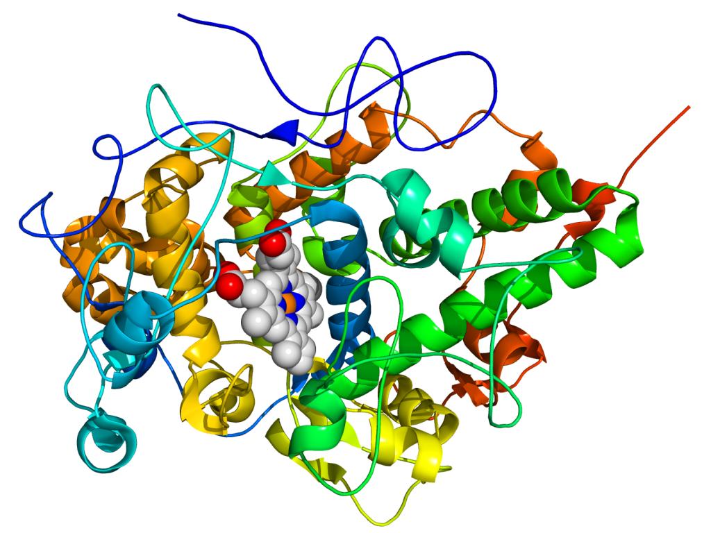 Enzyme