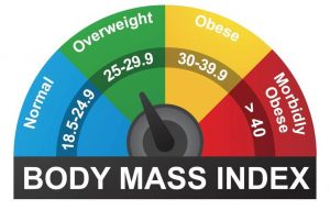 bmi - Body Mass Index