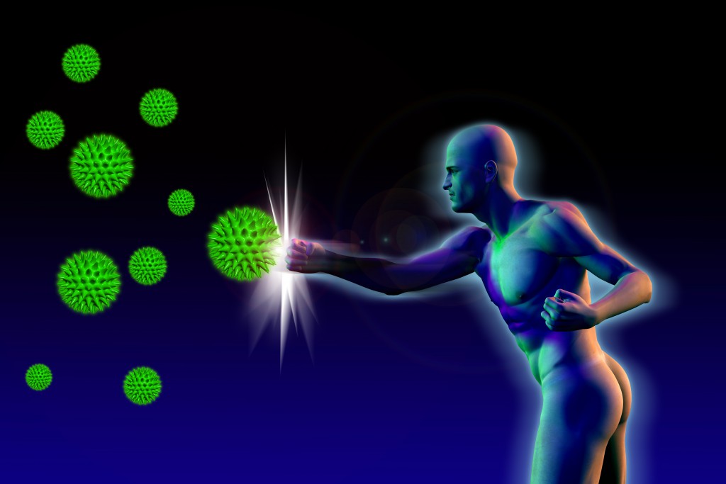 Immunsystem