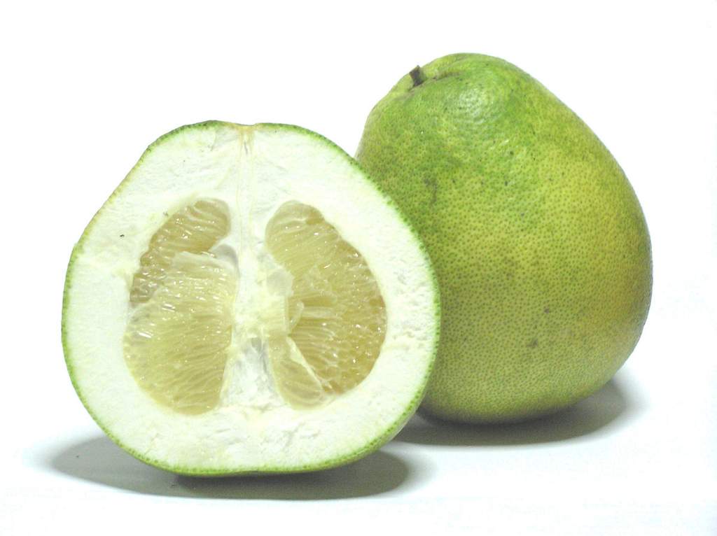 Pomelo die gößte Zitrusfrucht der Welt