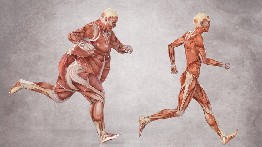 Übergewicht Kein leichtes Problem Ab wann ist man eigentlich