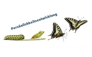 persoenlichkeitsentwicklung