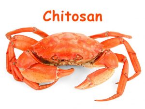 Chitosan