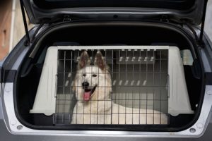 Hundetransportbox