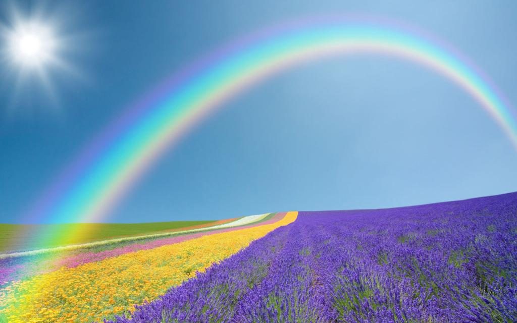 Regenbogen