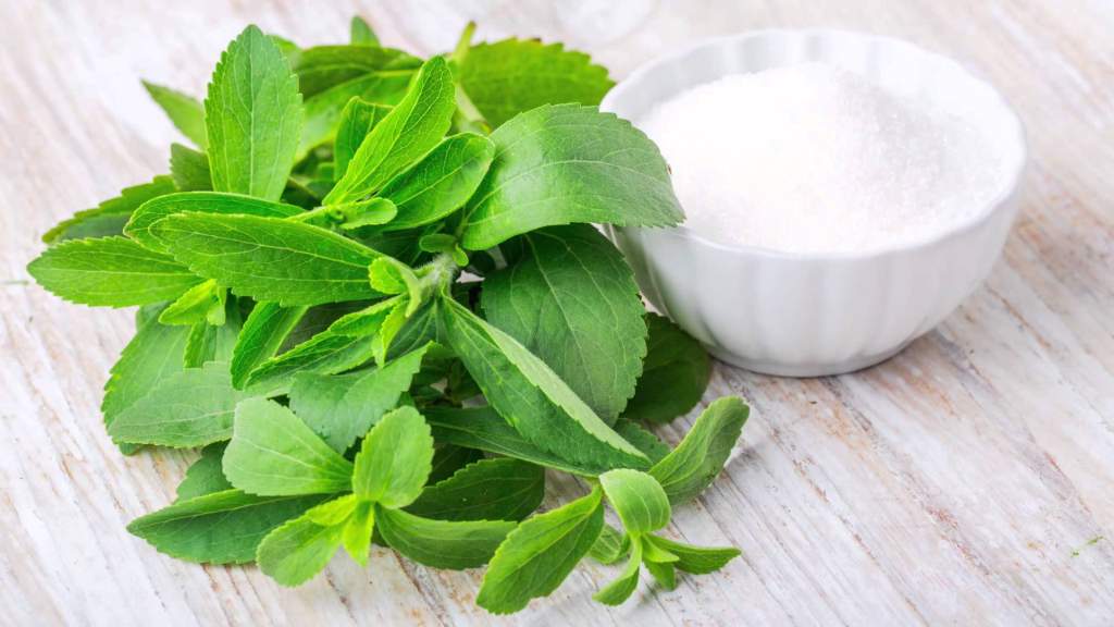 Wie gut ist Stevia Wie gesund ist Stevia?