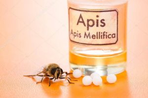 apis-mellifica