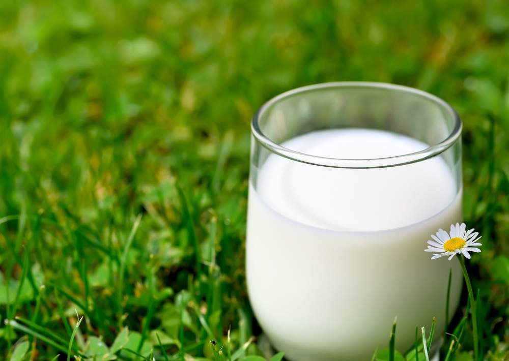 wie viel milch gibt ein alpaca van