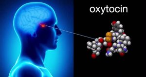 oxytocin