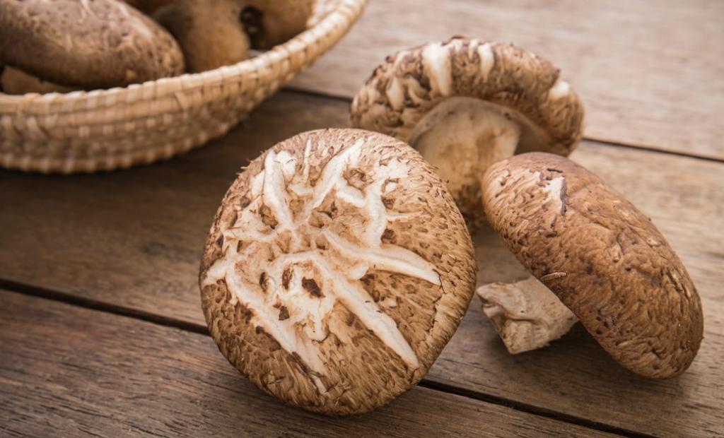 Wie gesund sind Shiitake Pilze?