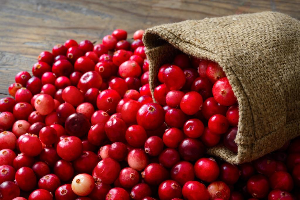Wie Viel Cranberrysaft Am Tag Bei Blasenentzündung