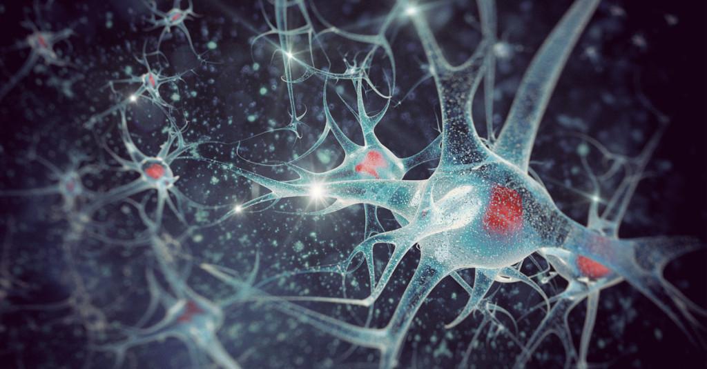 Was ist Neuroplastizität des gehirns? - Wie-funktioniert.com