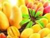 Leckere Rezepte mit Mango